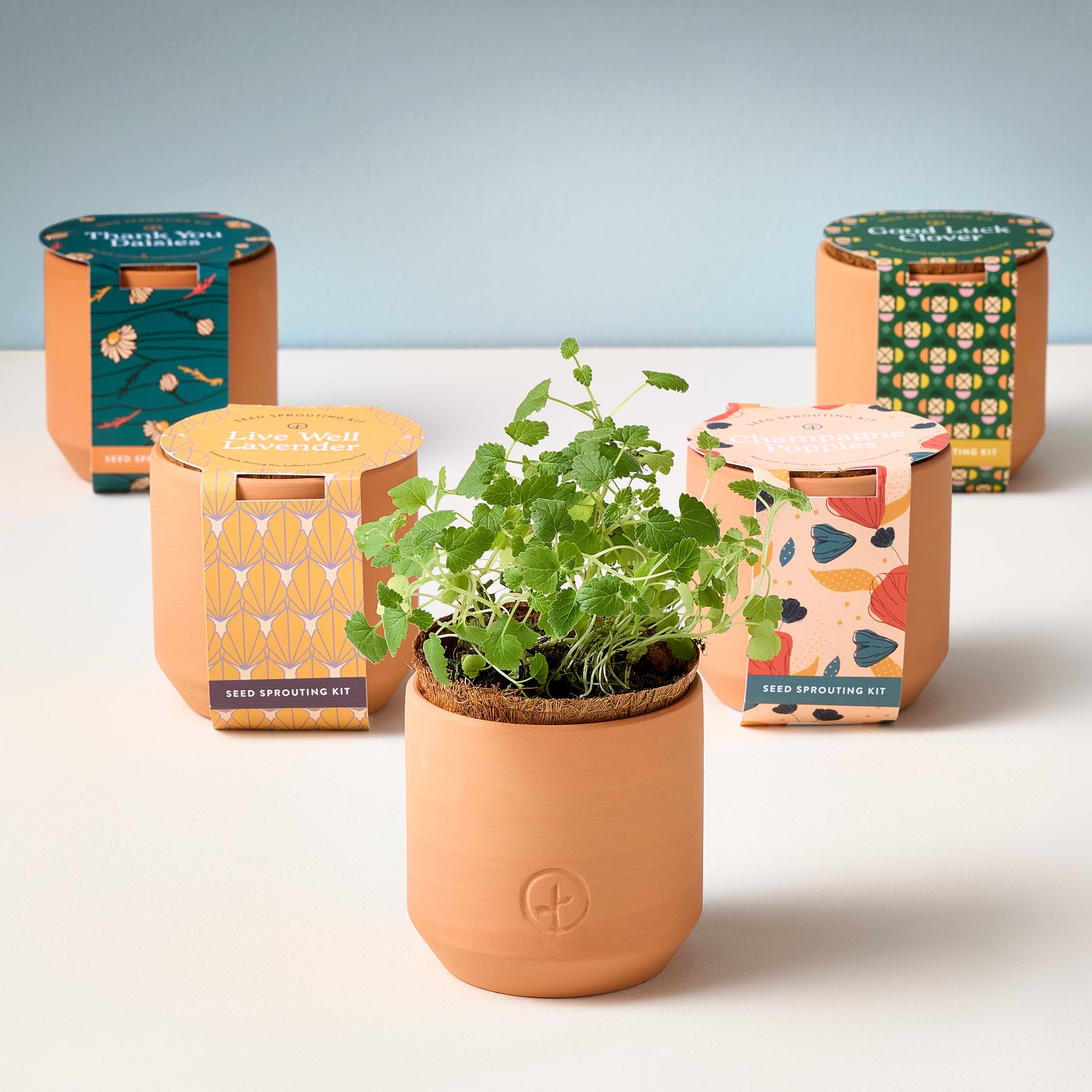 mini flower pots with seeds Tiny Terracotta Kits | Complete Growing Set | Glazed Planter with Coconut Pot Filter