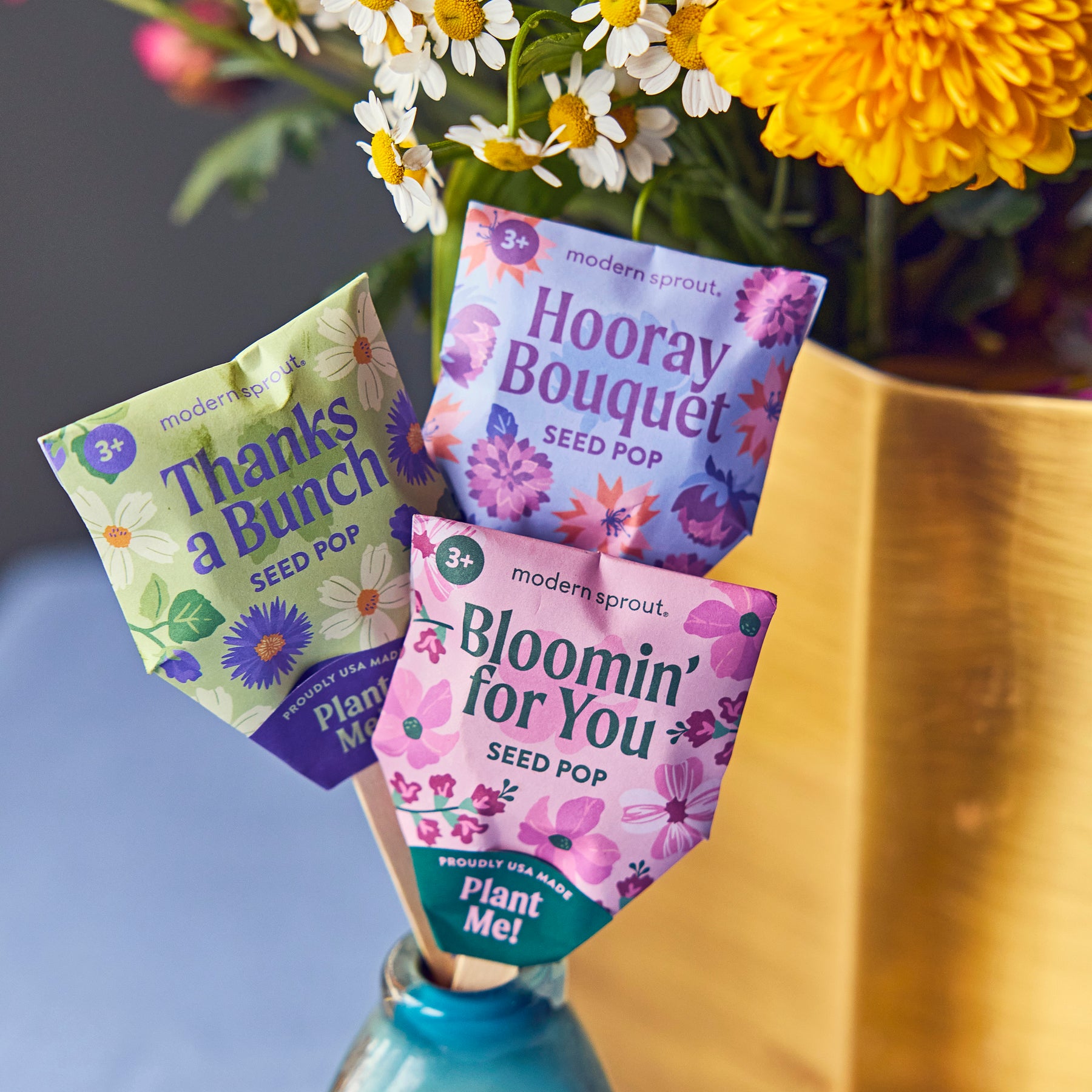 bumble bee seed pop planting instructions Seed Pops - Pollinator | Bumble Bee, Butterfly, Song Bird Seeds
